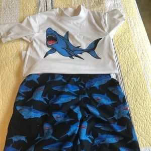 Boys shark swim trunks and rash guard